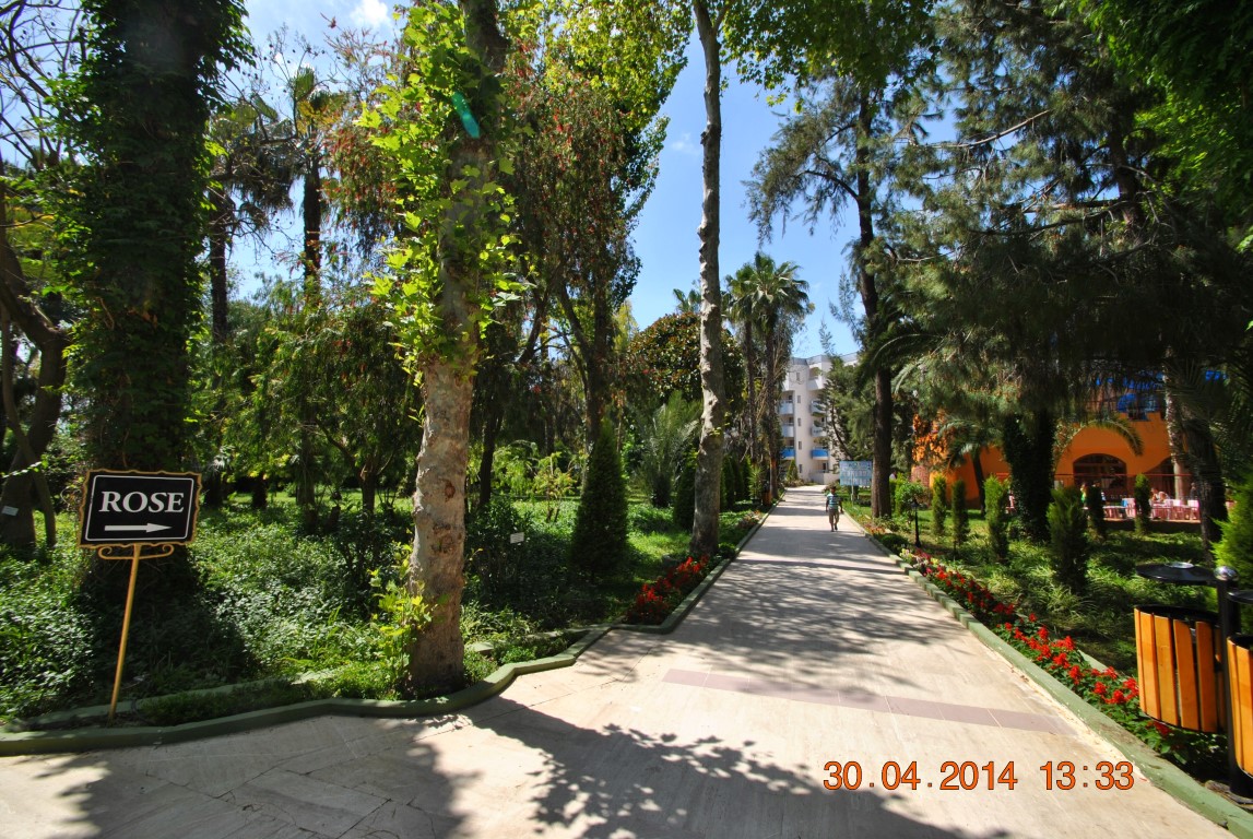 imagini hotel DELPHIN PLATINUM ALANYA